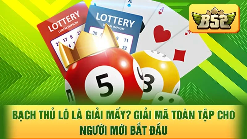 Bạch Thủ Lô Là Giải Mấy? Giải Mã Toàn Tập Cho Người Mới Bắt Đầu